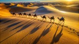 Marocco deserto